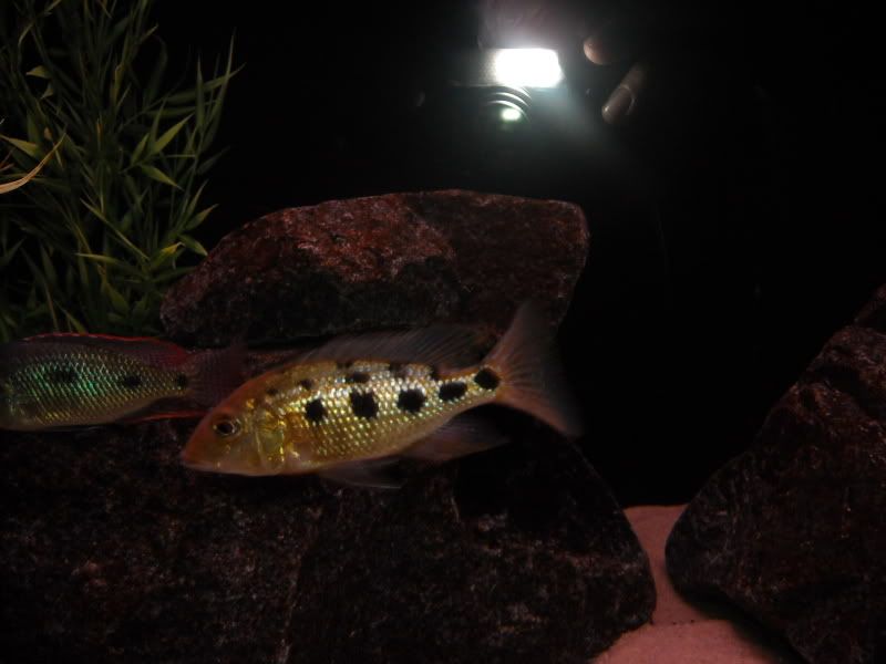 April2009006.jpg