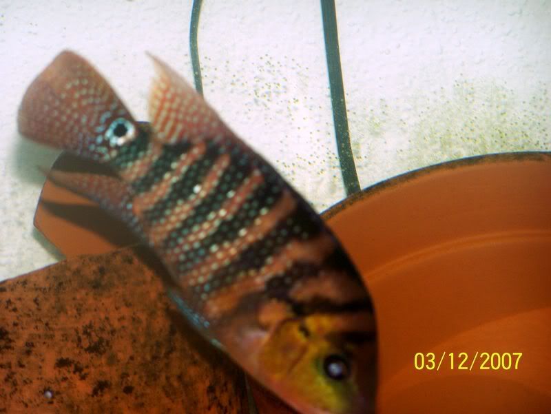 100_0814.jpg