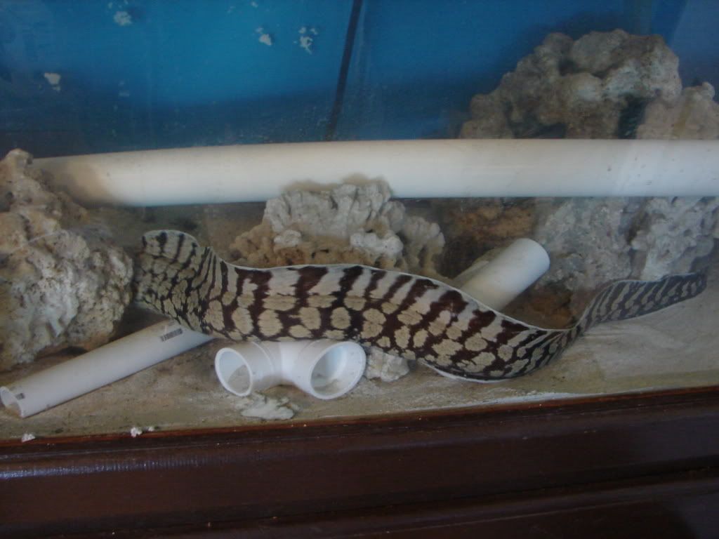 DSC02111.jpg