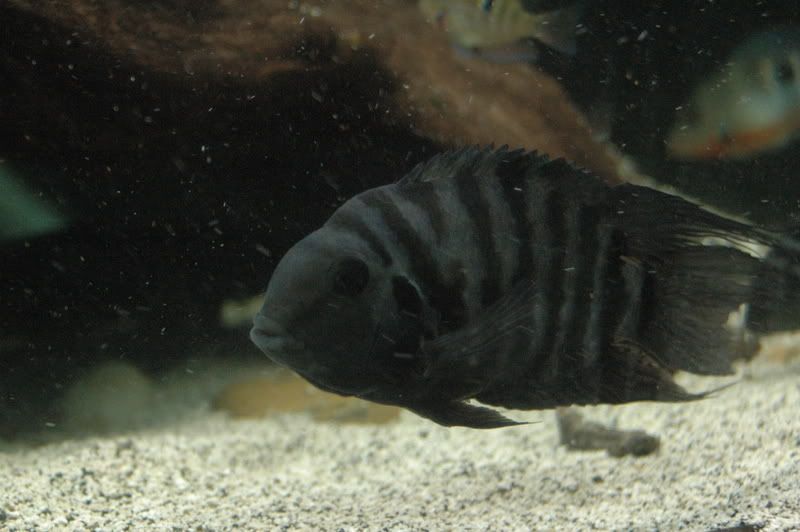 DSC_4163.jpg
