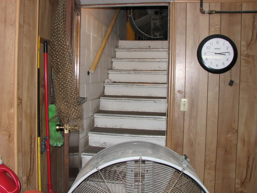 005-1.jpg