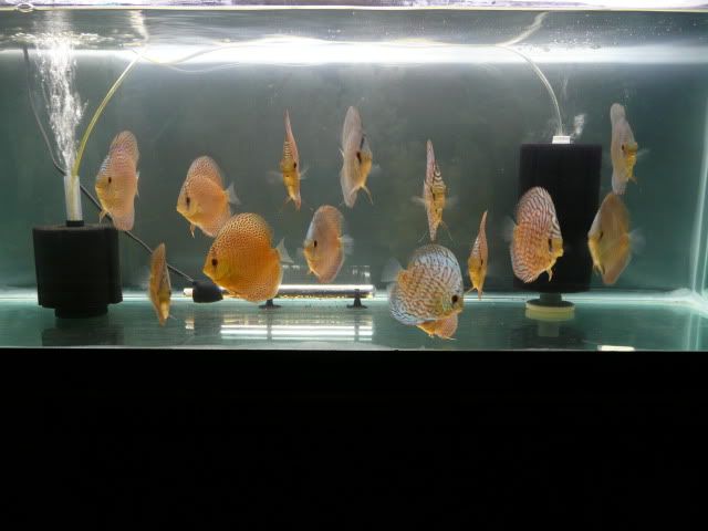 P1030683.jpg