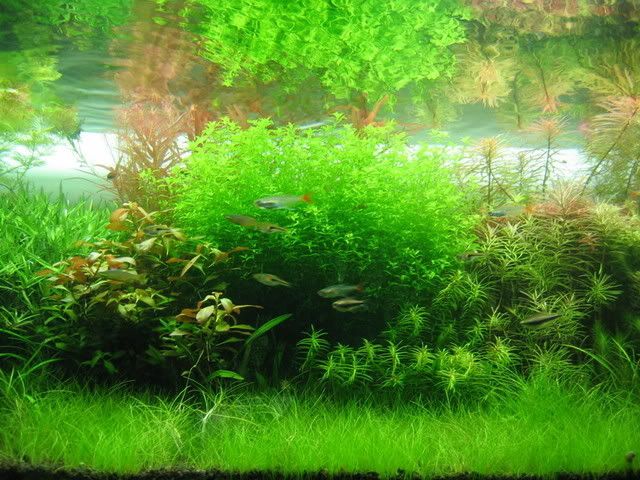 Picture005-1.jpg