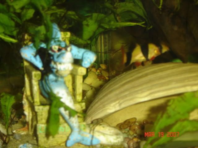 DSC01770.jpg