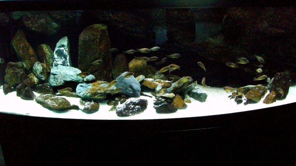 tanks008.jpg