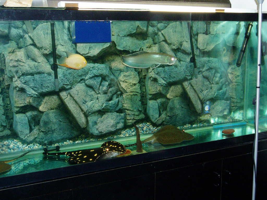 Pics010.jpg