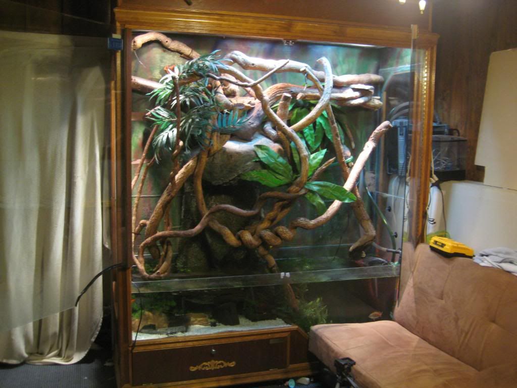 habitatandvids035.jpg