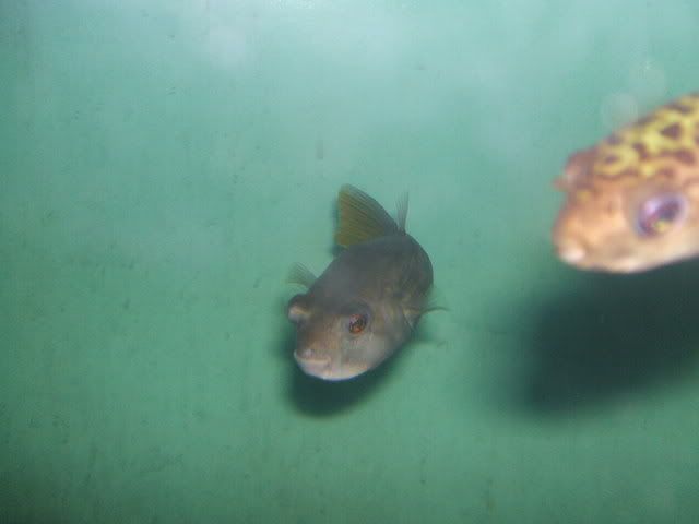 DSCF2439.jpg