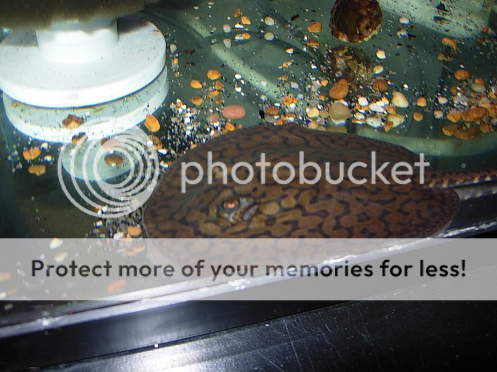 secondtrip058.jpg
