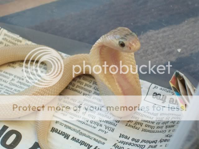 100_2887.jpg