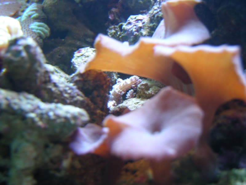 DSCN7142.jpg