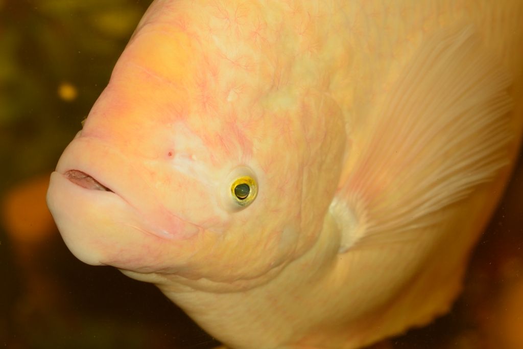 DSC_4480.jpg