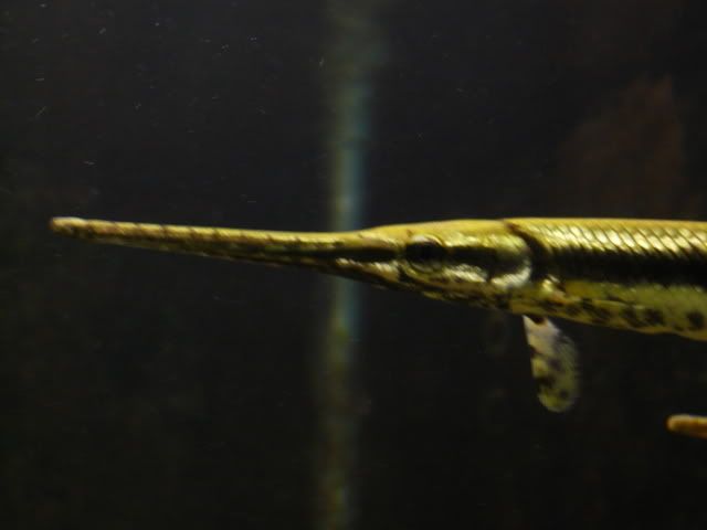 P1080345.jpg