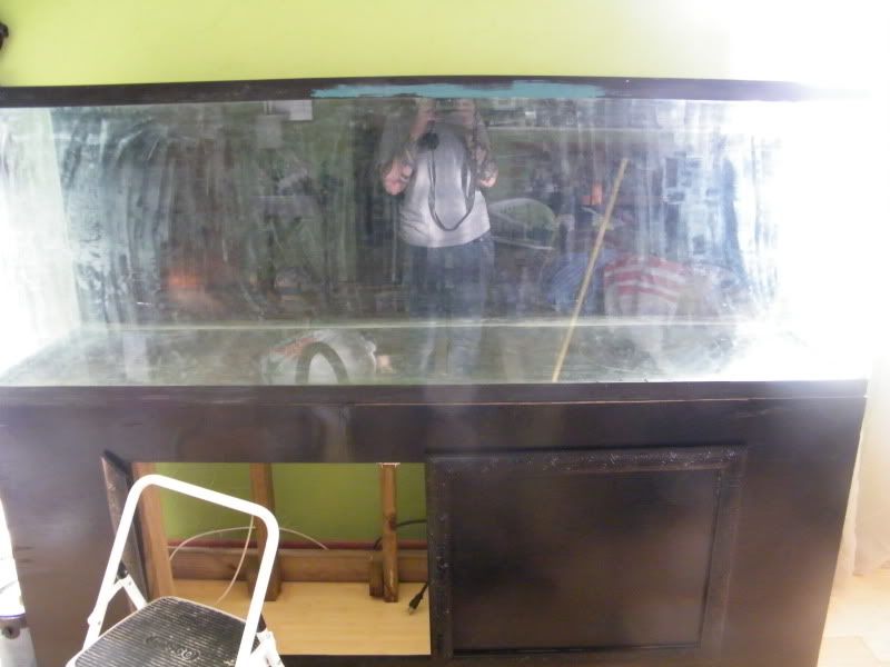 pics001.jpg