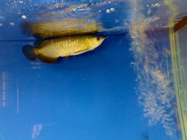 07022008271.jpg
