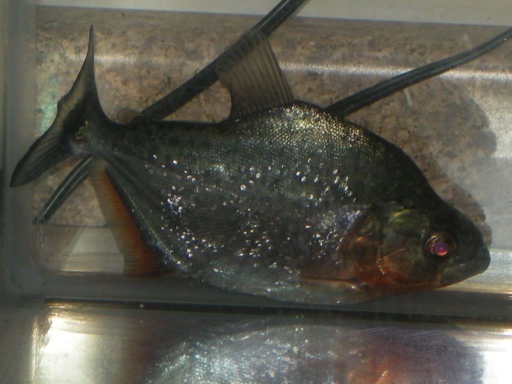 DSCN3166.jpg