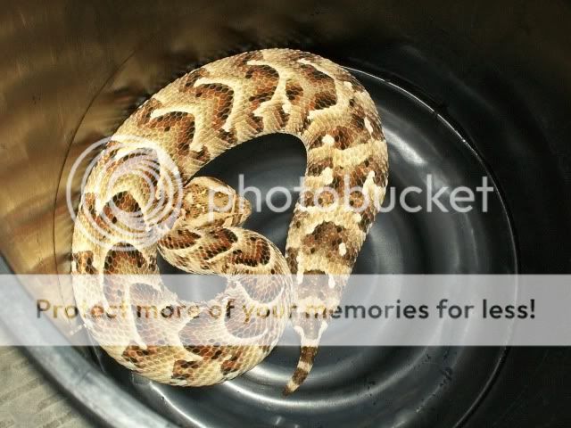 100_3137.jpg