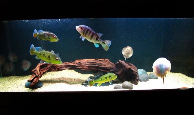FTS2.jpg