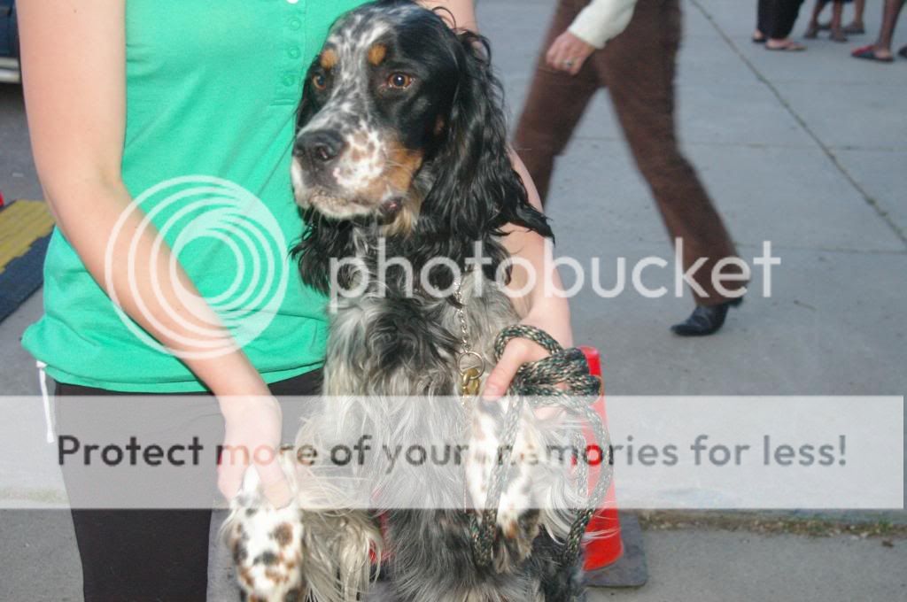 IMGP3867.jpg