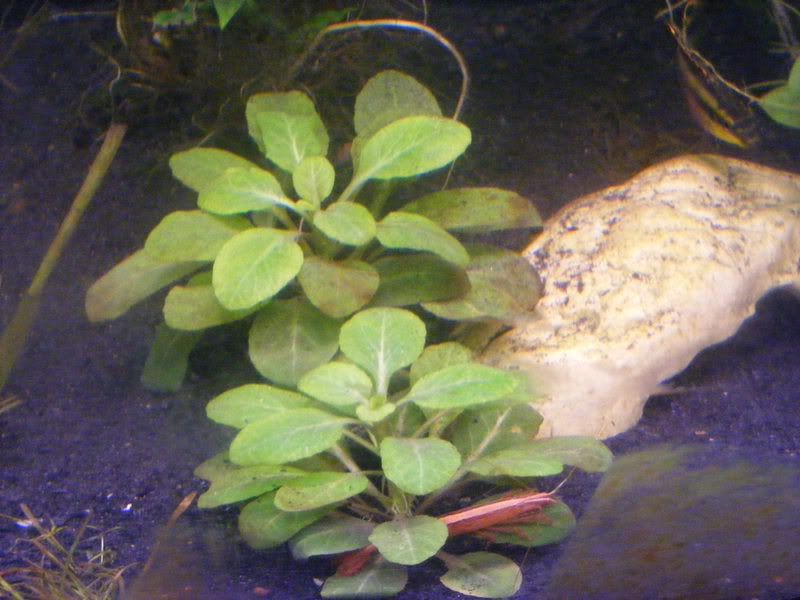 33gallon005.jpg