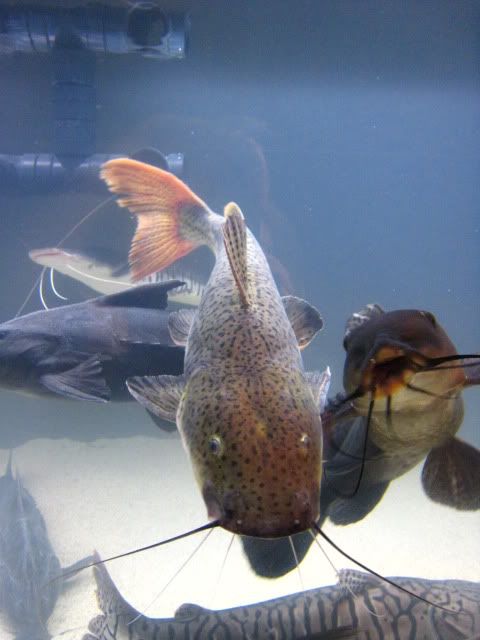 IMG_6921.jpg