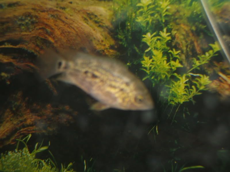 DSCF0274.jpg