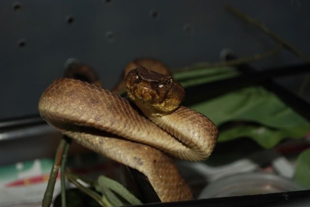 DSC_0422.jpg