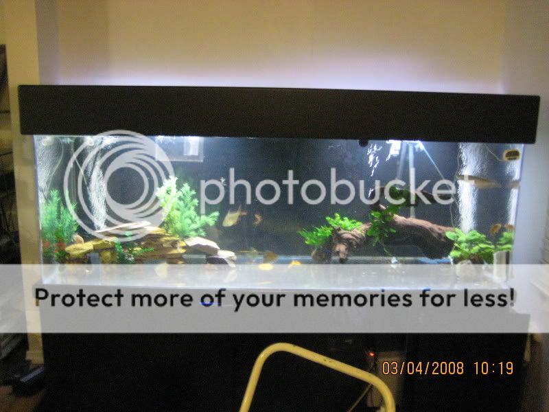 Driftwood, Vortex XL Diatom FIlter