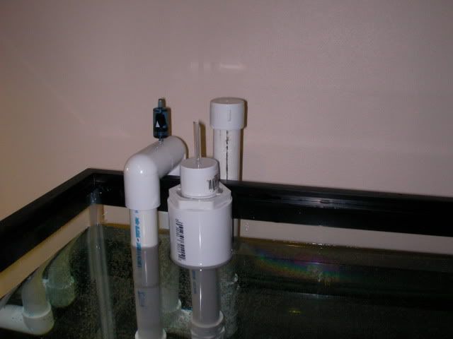 SANY0011.jpg
