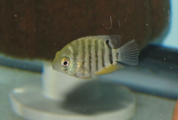d9b5d199.jpg