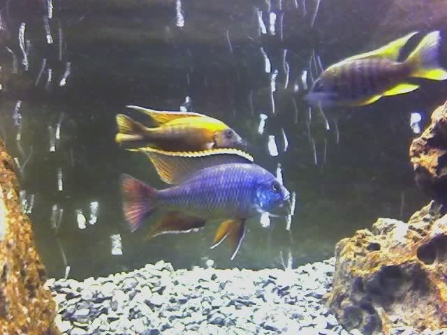 01-21-07_2041.jpg