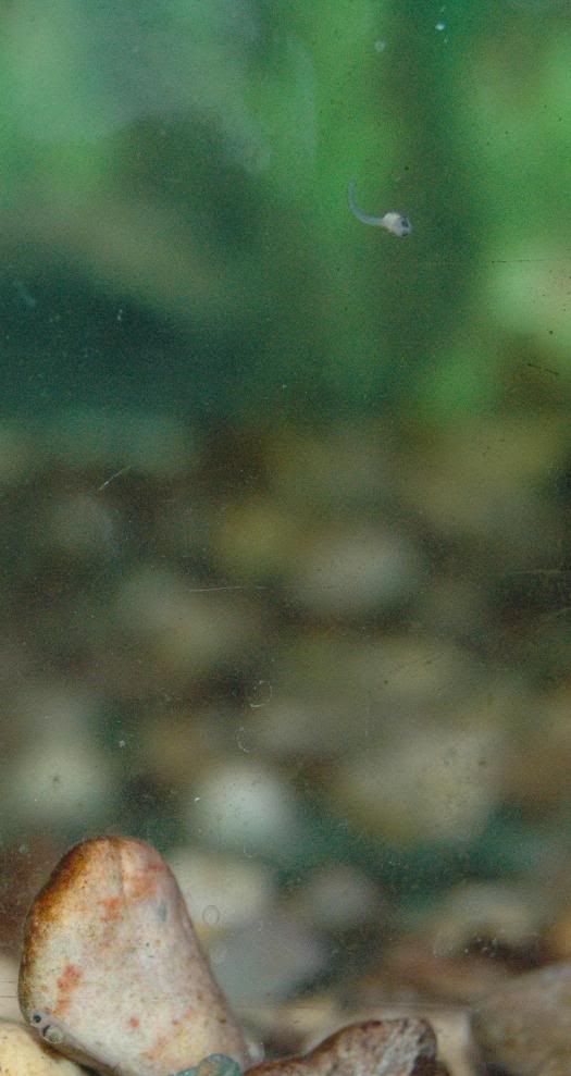 DSC_5658.jpg