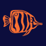 www.aquariumadvice.com