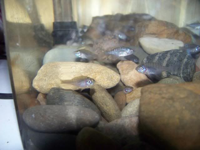 100_0806.jpg