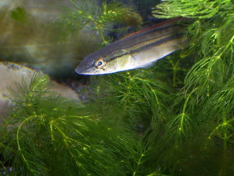 S5031417.jpg