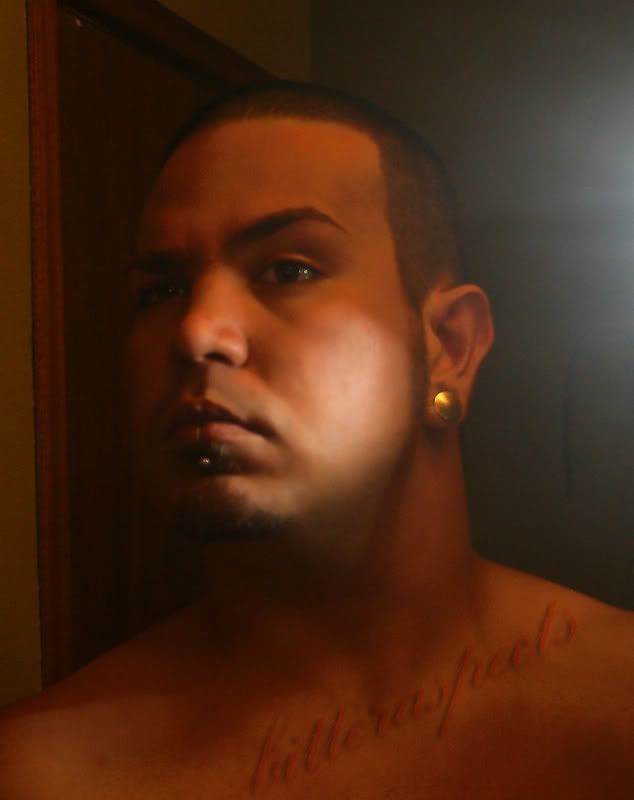pic1.jpg