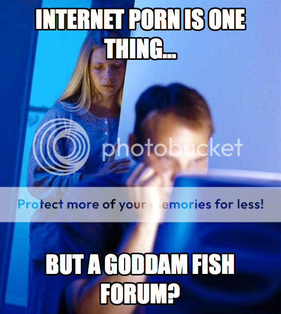 meme3.png