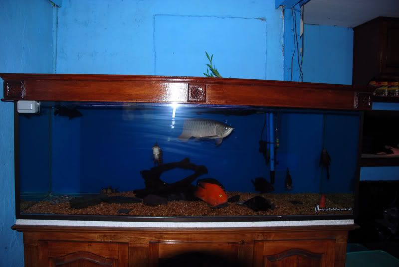 DSC_015202960001.jpg