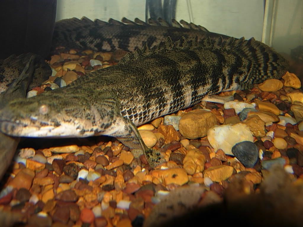 nicenewrays020.jpg