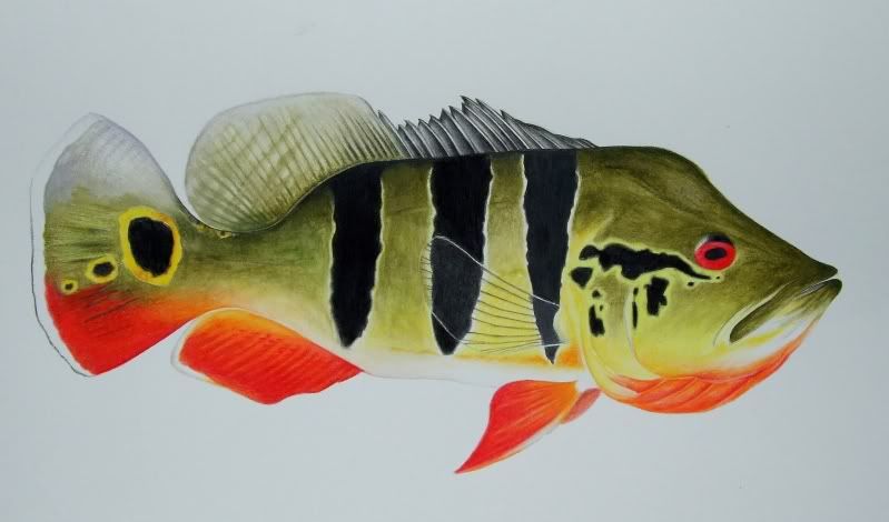 fish610.jpg