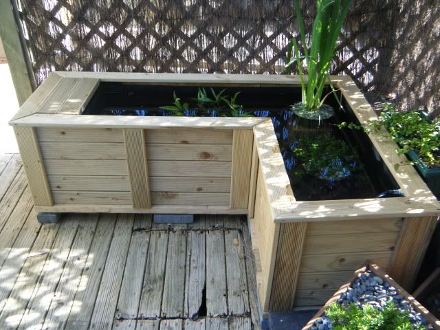 How to Build a Wood Pond: A Step-by-Step Guide