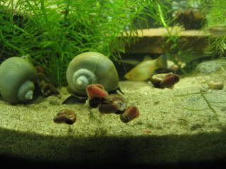 IMG_6000.jpg