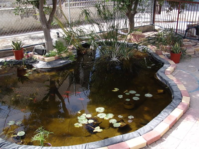 DSC06220.jpg