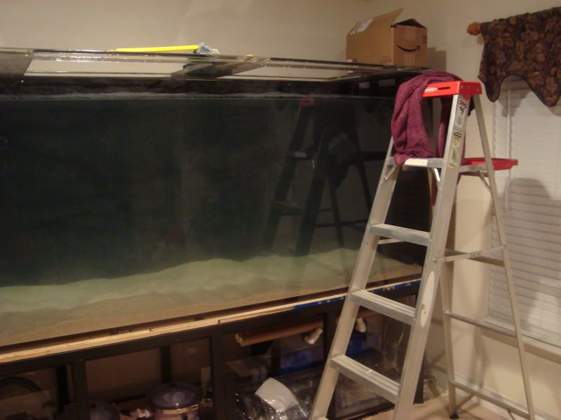 fishtankbuild2028.jpg