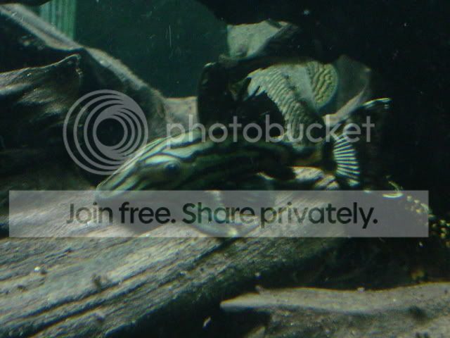 DSC07254.jpg