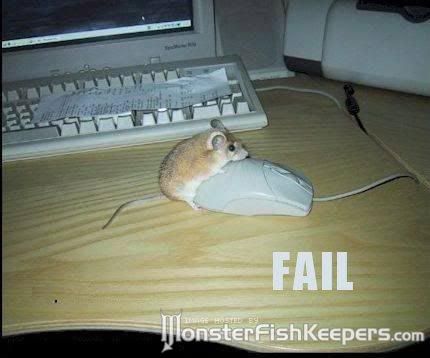 fail77.jpg