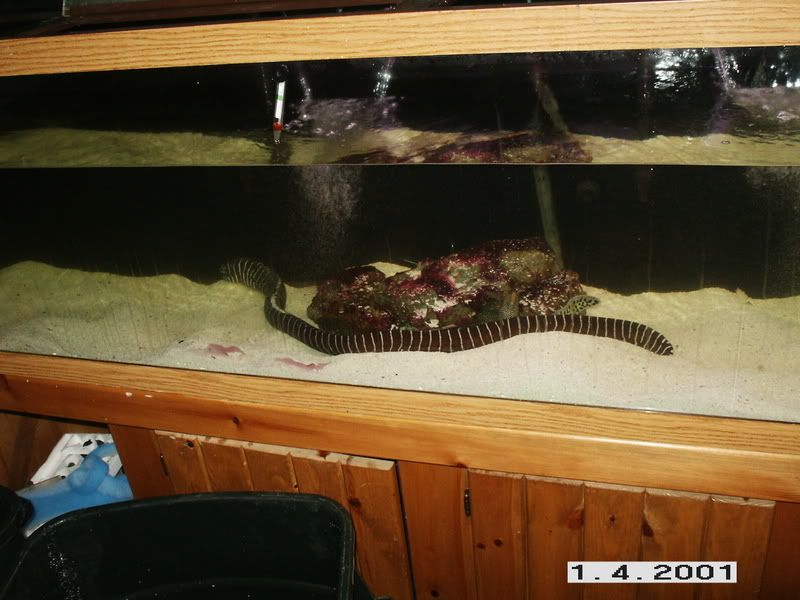 PICT0210.jpg