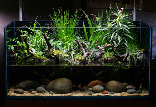 riparium-tank.jpg