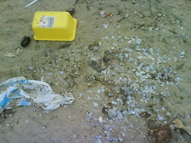 DSC00210.jpg