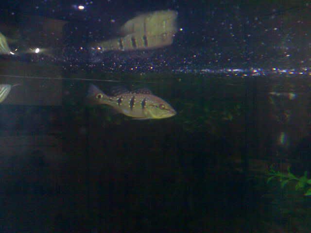 01012007048.jpg